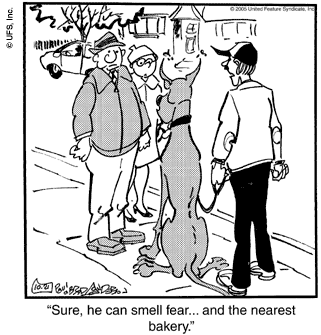 marmaduke